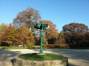 Forêt Notre dame : pour un long running dans le Val de Marne