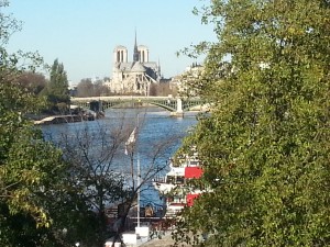 Paris Notre-Dame. Sight jogging sur les bords de Seine